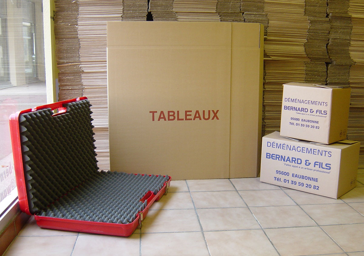 Boite de cartons pour déménagement avec valise pour ranger les objets précieux 